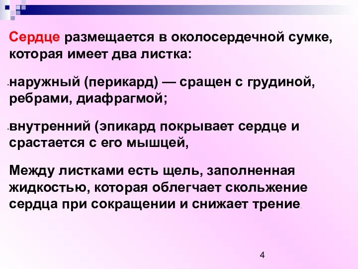 Сердце размещается в околосердечной сумке, которая имеет два листка: наружный (перикард) —