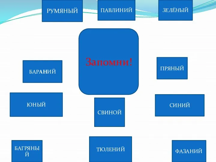 РУМЯНЫЙ БАРАНИЙ ЮНЫЙ БАГРЯНЫЙ ЗЕЛЁНЫЙ ПРЯНЫЙ СВИНОЙ СИНИЙ ФАЗАНИЙ ТЮЛЕНИЙ ПАВЛИНИЙ Запомни! ЮНЫЙ Я