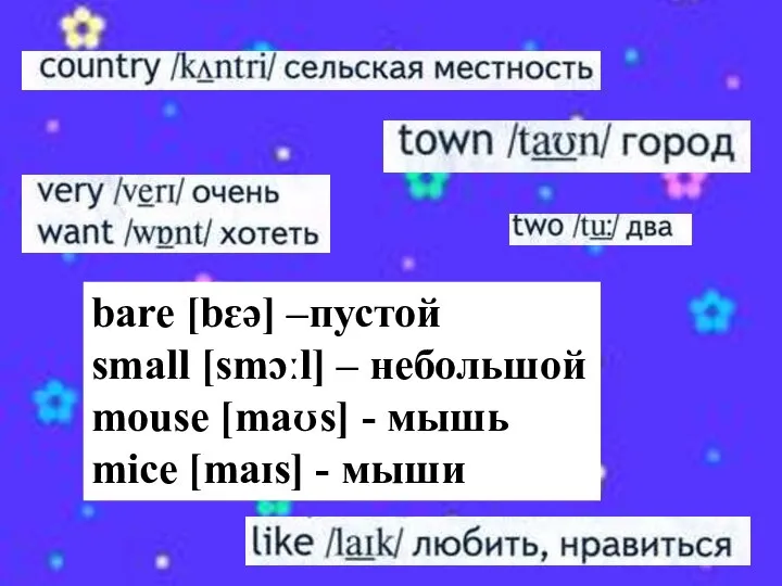 bare [bɛə] –пустой small [smɔːl] – небольшой mouse [maʊs] - мышь mice [maɪs] - мыши