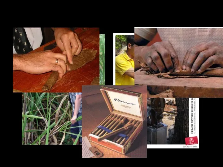 Куба – сахарный тростник, табак, сигары