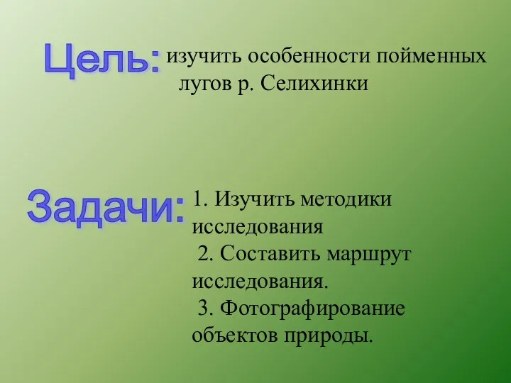 изучить особенности пойменных лугов р. Селихинки Цель: Задачи: 1. Изучить методики исследования