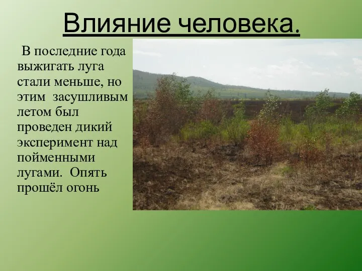 Влияние человека. В последние года выжигать луга стали меньше, но этим засушливым