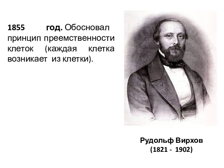 Рудольф Вирхов (1821 - 1902) 1855 год. Обосновал принцип преемственности клеток (каждая клетка возникает из клетки).
