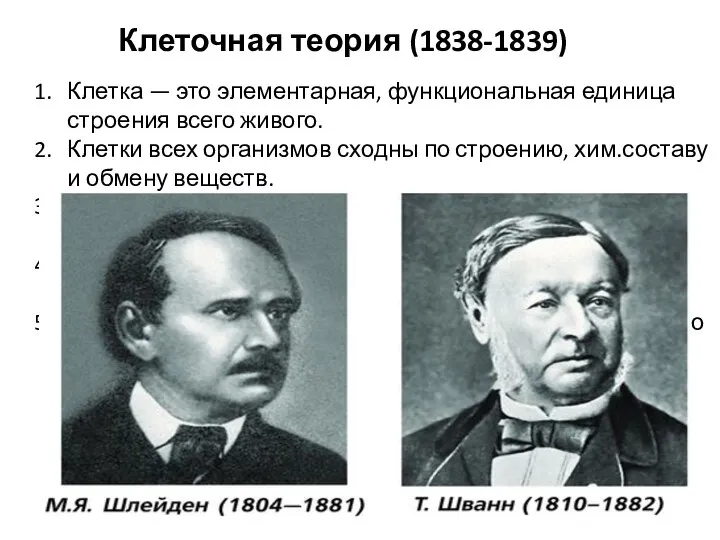 Клеточная теория (1838-1839) Клетка — это элементарная, функциональная единица строения всего живого.