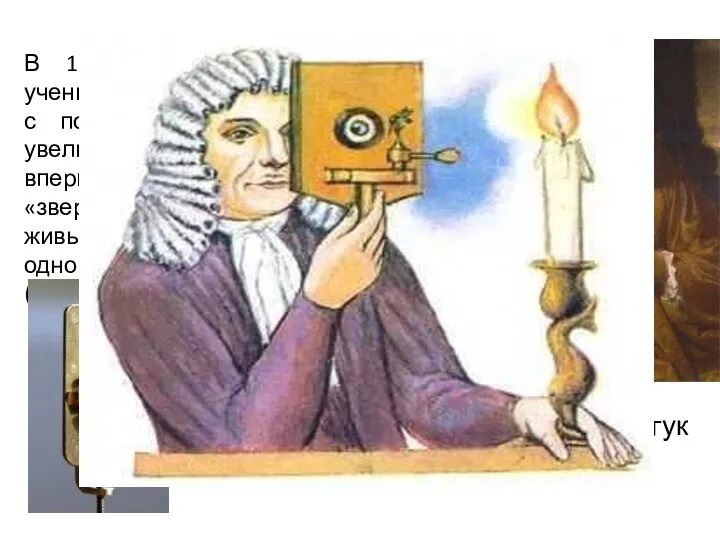 В 1683 году голландский ученый с помощью микроскопа с увеличением в 270