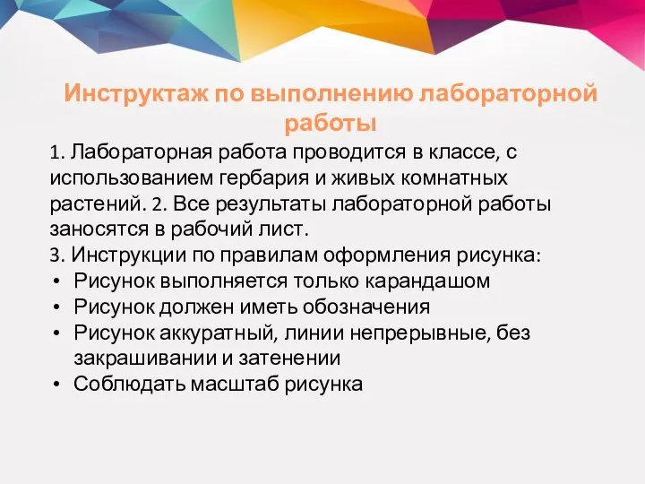 Инструктаж по выполнению лабораторной работы 1. Лабораторная работа проводится в классе, с