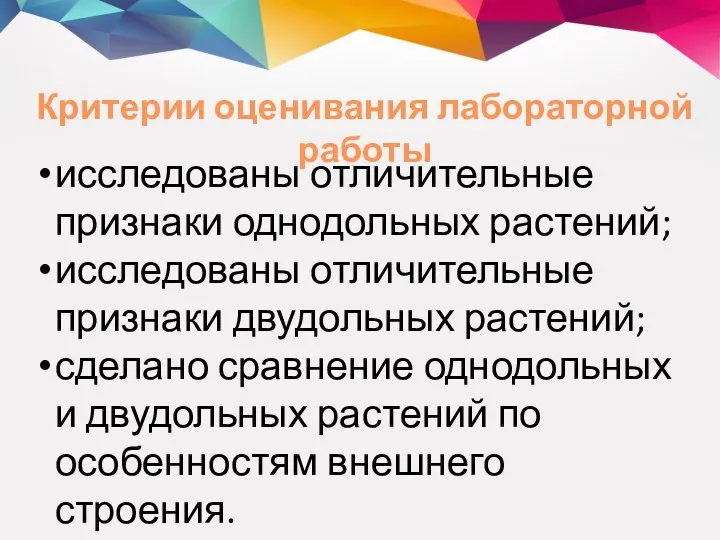 Критерии оценивания лабораторной работы исследованы отличительные признаки однодольных растений; исследованы отличительные признаки