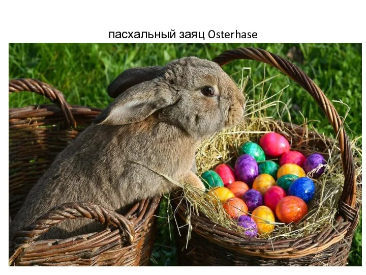 пасхальный заяц Osterhase