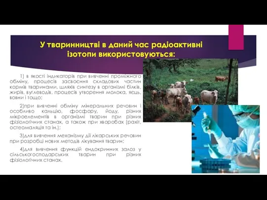 У тваринництві в даний час радіоактивні ізотопи використовуються: 1) в якості індикаторів