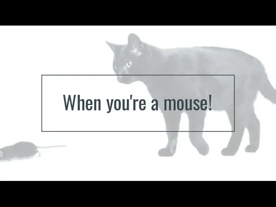 When you're a mouse!
