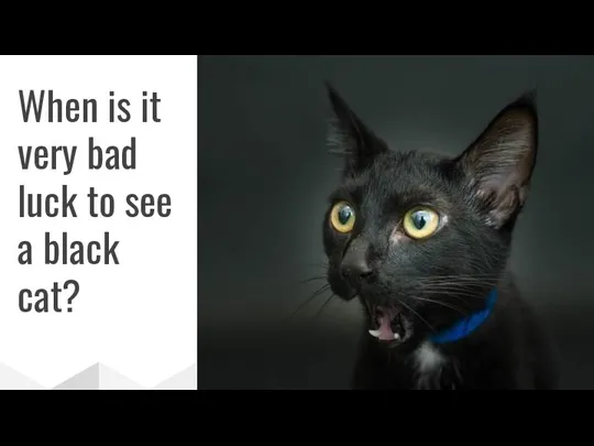 When is it very bad luck to see a black cat?