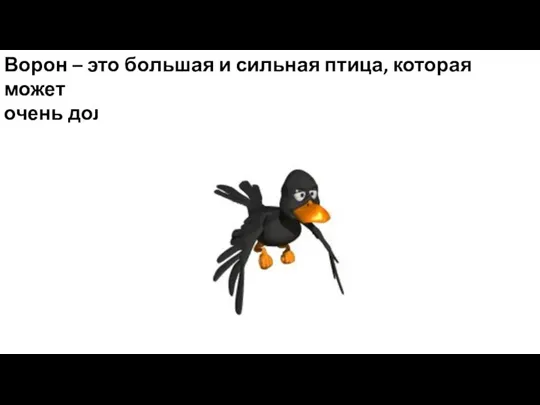 Ворон – это большая и сильная птица, которая может очень долго летать без отдыха.