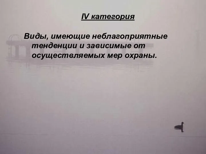 IV категория IV категория Виды, имеющие неблагоприятные тенденции и зависимые от осуществляемых мер охраны.