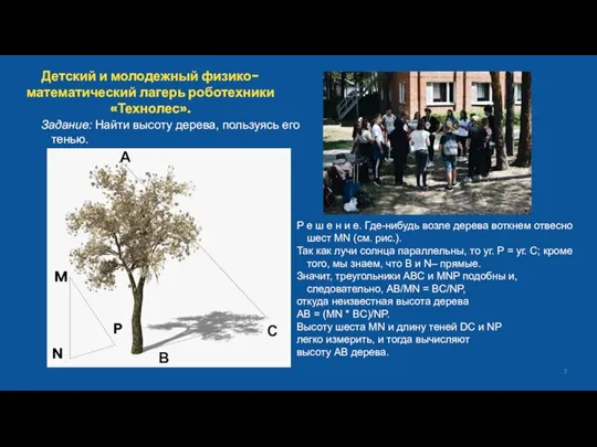 Детский и молодежный физико-математический лагерь роботехники «Технолес». Задание: Найти высоту дерева, пользуясь
