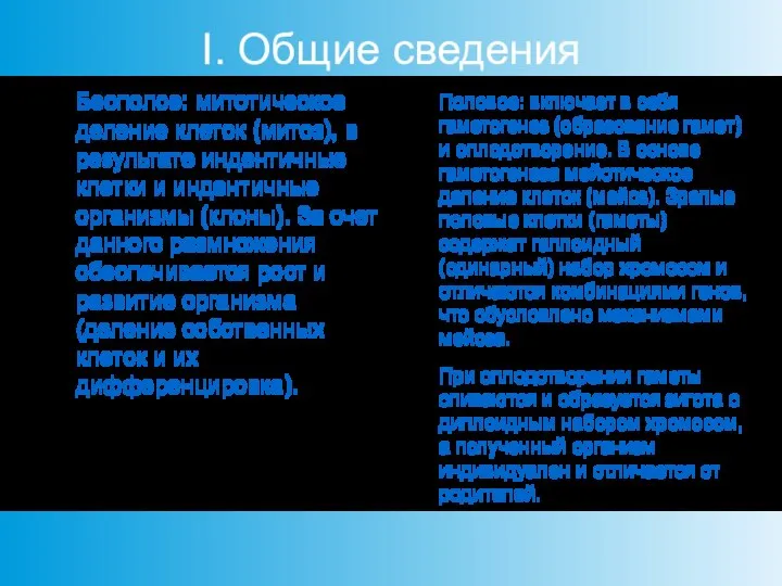 I. Общие сведения Бесполое: митотическое деление клеток (митоз), в результате индентичные клетки