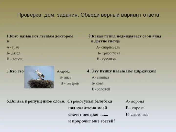 Проверка дом. задания. Обведи верный вариант ответа. 1.Кого называют лесным доктором 2.Какая