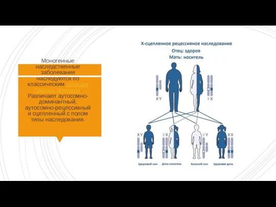 Моногенные наследственные заболевания наследуются по классическим законам Грегора Менделя. Различают аутосомно-доминантный, аутосомно-рецессивный