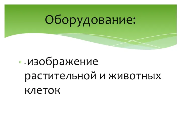 - изображение растительной и животных клеток Оборудование: