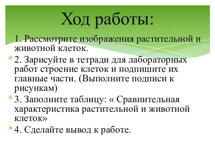 1. Рассмотрите изображения растительной и животной клеток. 2. Зарисуйте в тетради для