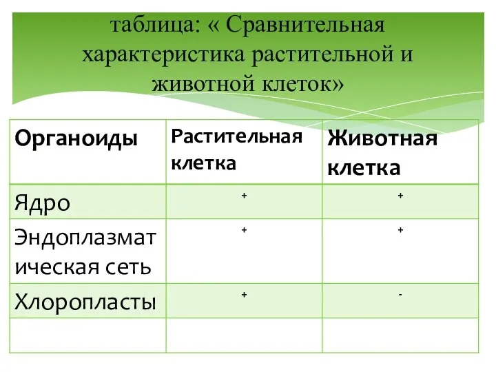 таблица: « Сравнительная характеристика растительной и животной клеток»