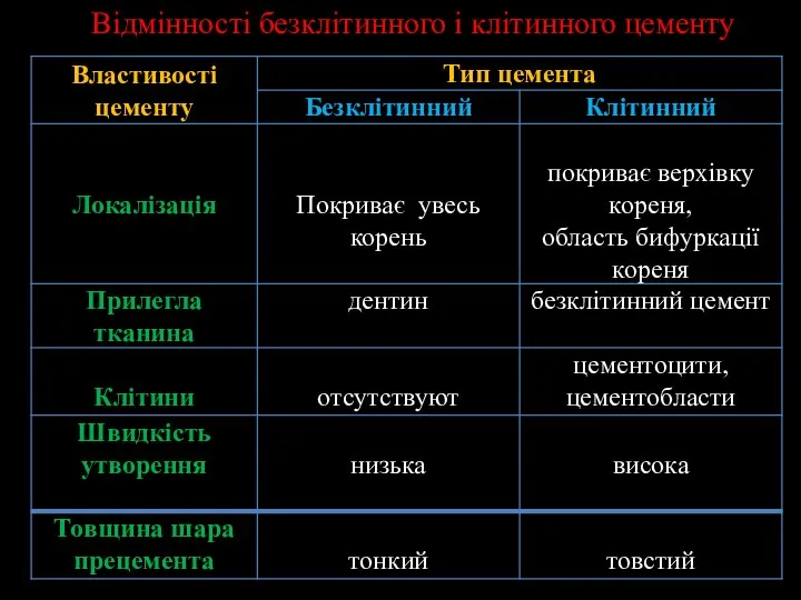 Відмінності безклітинного і клітинного цементу