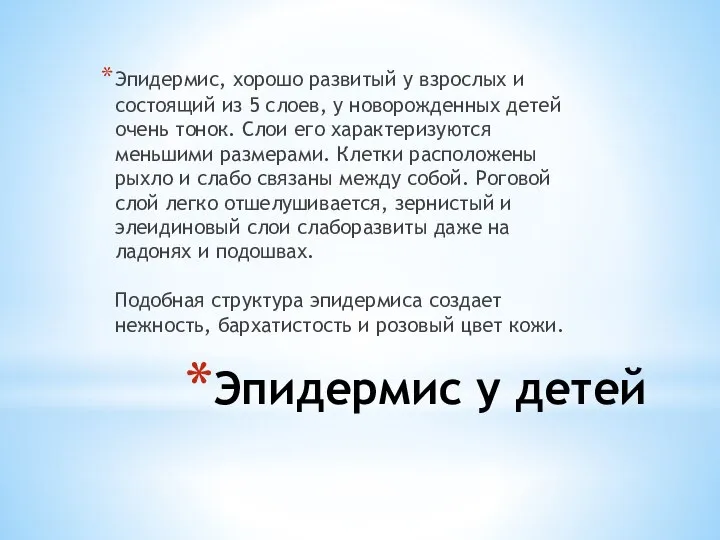 Эпидермис у детей Эпидермис, хорошо развитый у взрослых и состоящий из 5