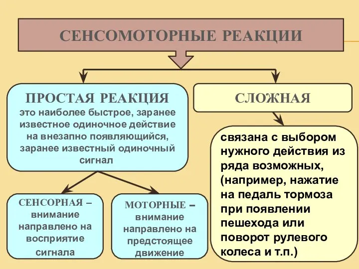 СЕНСОМОТОРНЫЕ РЕАКЦИИ ПРОСТАЯ РЕАКЦИЯ это наиболее быстрое, заранее известное одиночное действие на