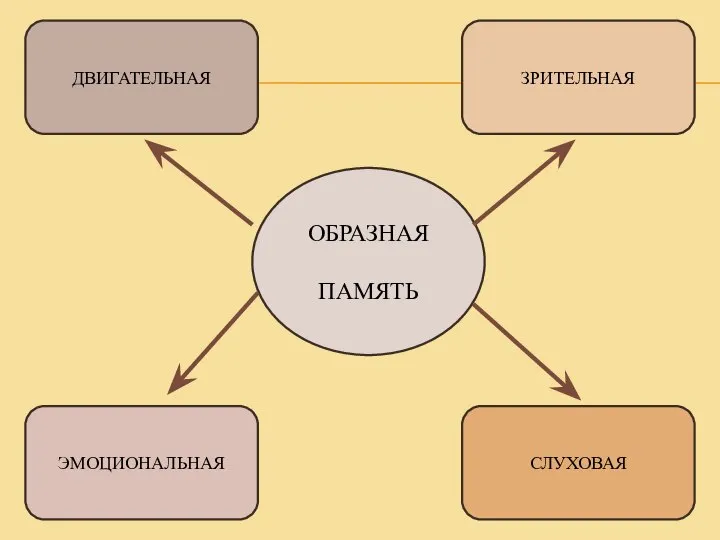 ОБРАЗНАЯ ПАМЯТЬ ДВИГАТЕЛЬНАЯ СЛУХОВАЯ ЗРИТЕЛЬНАЯ ЭМОЦИОНАЛЬНАЯ