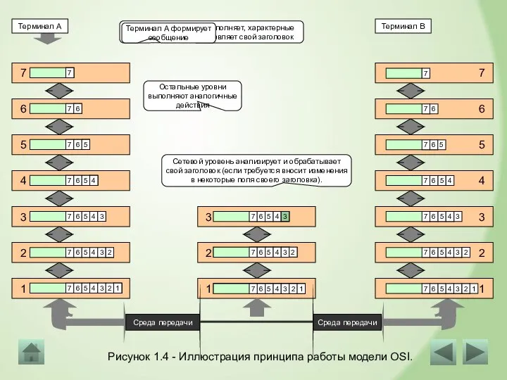 Рисунок 1.4 - Иллюстрация принципа работы модели OSI. Прикладной уровень выполняет, характерные