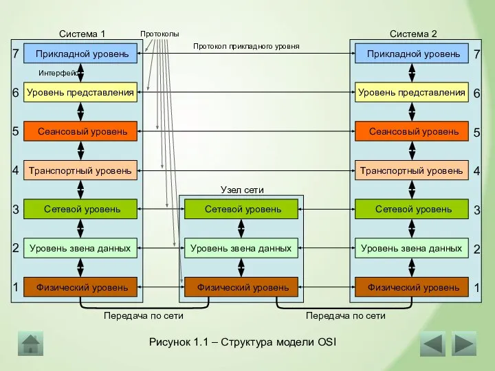Рисунок 1.1 – Структура модели OSI