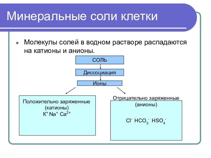 Минеральные соли клетки Молекулы солей в водном растворе распадаются на катионы и