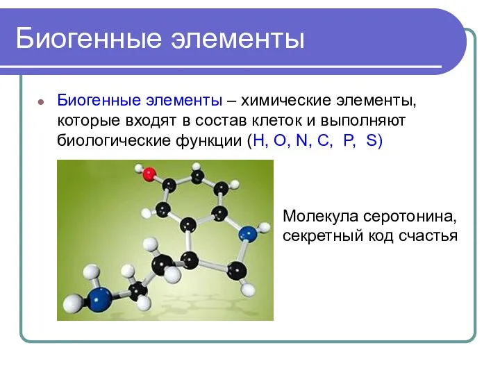 Биогенные элементы Биогенные элементы – химические элементы, которые входят в состав клеток