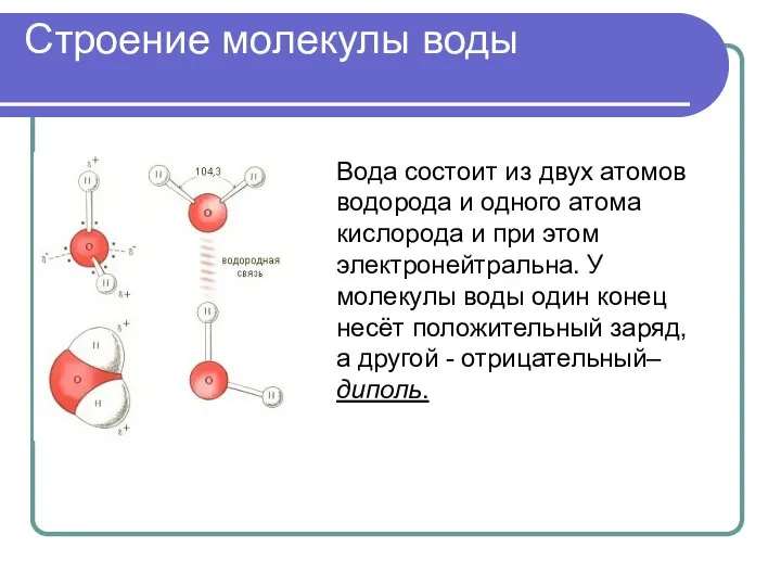 Строение молекулы воды Вода состоит из двух атомов водорода и одного атома