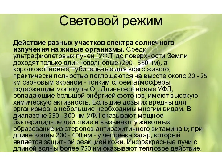 Световой режим Действие разных участков спектра солнечного излучения на живые организмы. Среди