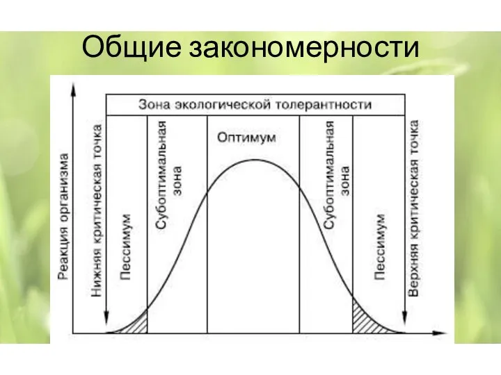 Общие закономерности