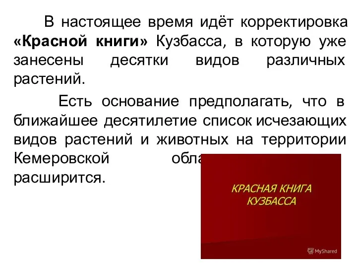 В настоящее время идёт корректировка «Красной книги» Кузбасса, в которую уже занесены