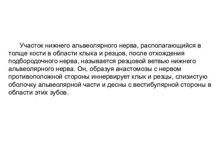 Участок нижнего альвеолярного нерва, располагающийся в толще кости в области клыка и