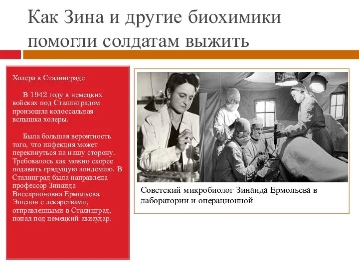Как Зина и другие биохимики помогли солдатам выжить Холера в Сталинграде В
