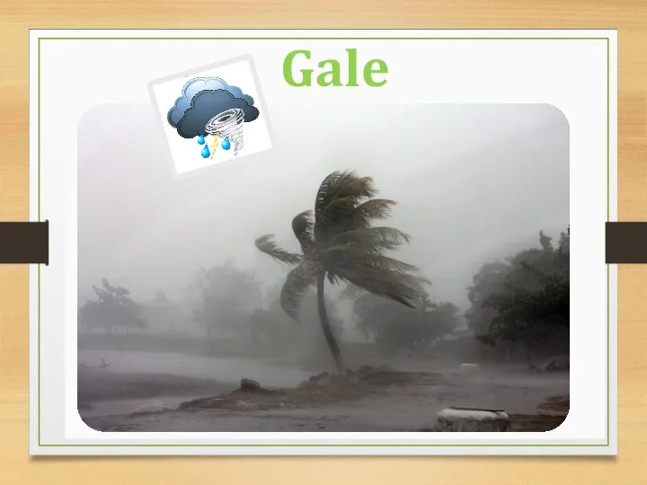 Gale