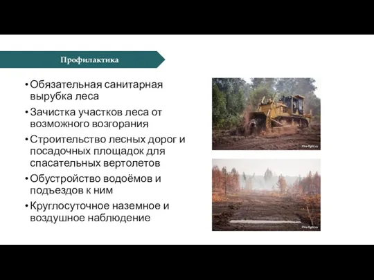 Профилактика Обязательная санитарная вырубка леса Зачистка участков леса от возможного возгорания Строительство