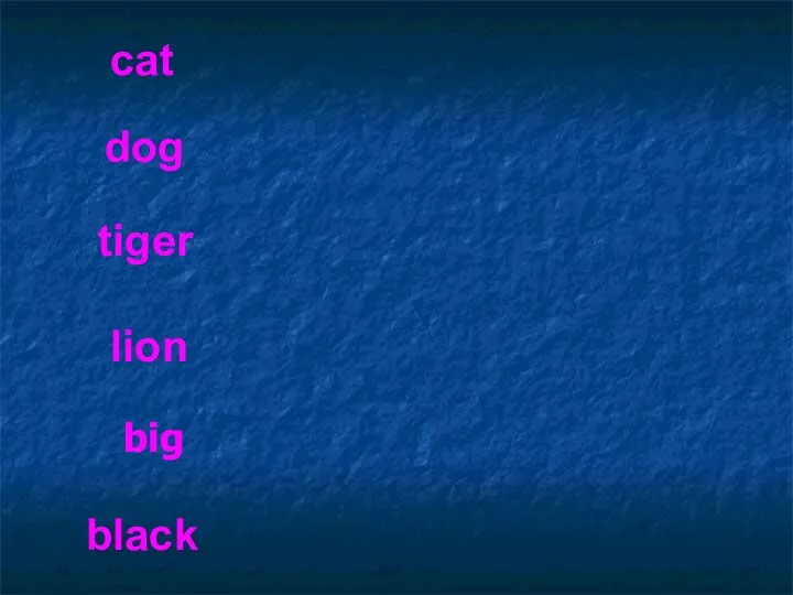 lion cat black dog tiger big