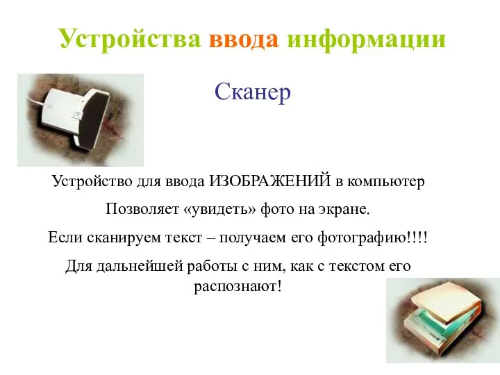 Сканер Устройство для ввода ИЗОБРАЖЕНИЙ в компьютер Позволяет «увидеть» фото на экране.