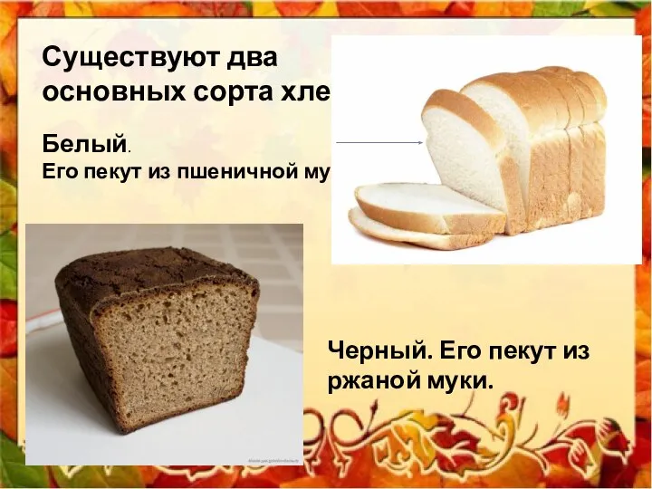 Существуют два основных сорта хлеба: Белый. Его пекут из пшеничной муки. Черный.