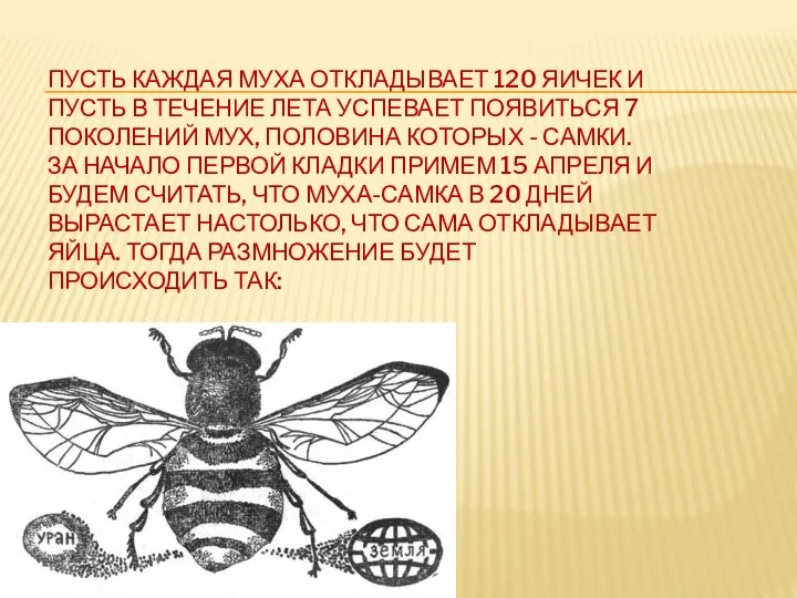 ПУСТЬ КАЖДАЯ МУХА ОТКЛАДЫВАЕТ 120 ЯИЧЕК И ПУСТЬ В ТЕЧЕНИЕ ЛЕТА УСПЕВАЕТ