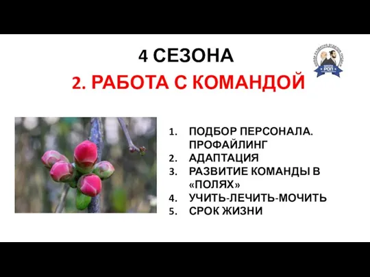 4 СЕЗОНА СКОРОСТЬ СИЛА ТОЧНОСТЬ 2. РАБОТА С КОМАНДОЙ ПОДБОР ПЕРСОНАЛА. ПРОФАЙЛИНГ