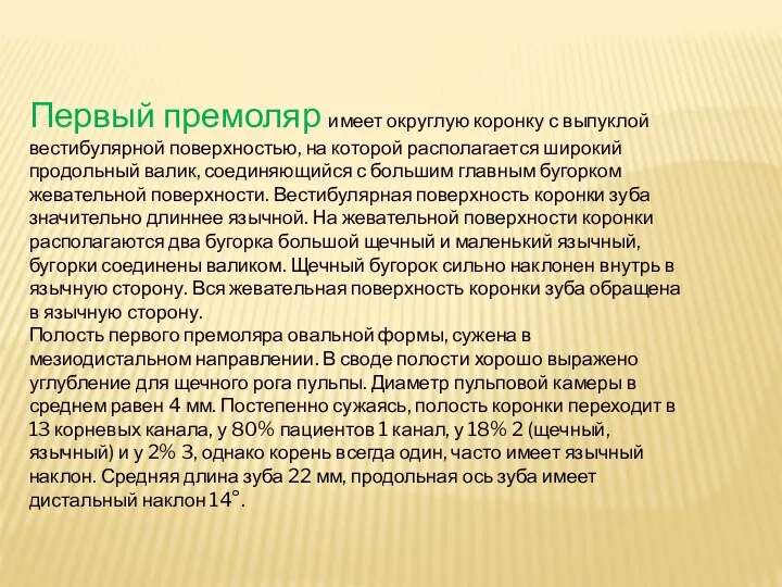 Первый премоляр имеет округлую коронку с выпуклой вестибулярной поверхностью, на которой располагается