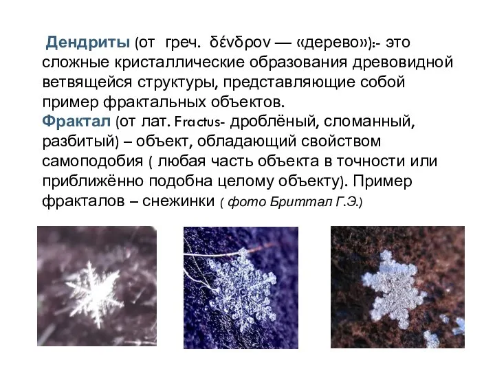 Дендриты (от греч. δένδρον — «дерево»):- это сложные кристаллические образования древовидной ветвящейся