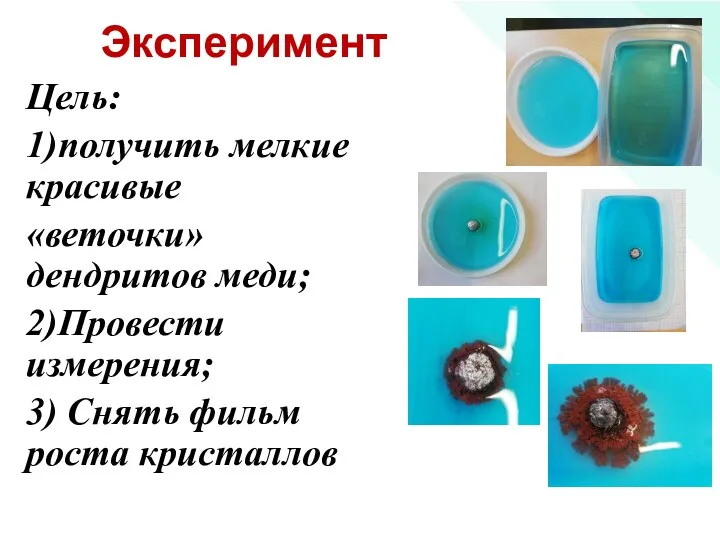 Эксперимент Цель: 1)получить мелкие красивые «веточки» дендритов меди; 2)Провести измерения; 3) Снять фильм роста кристаллов