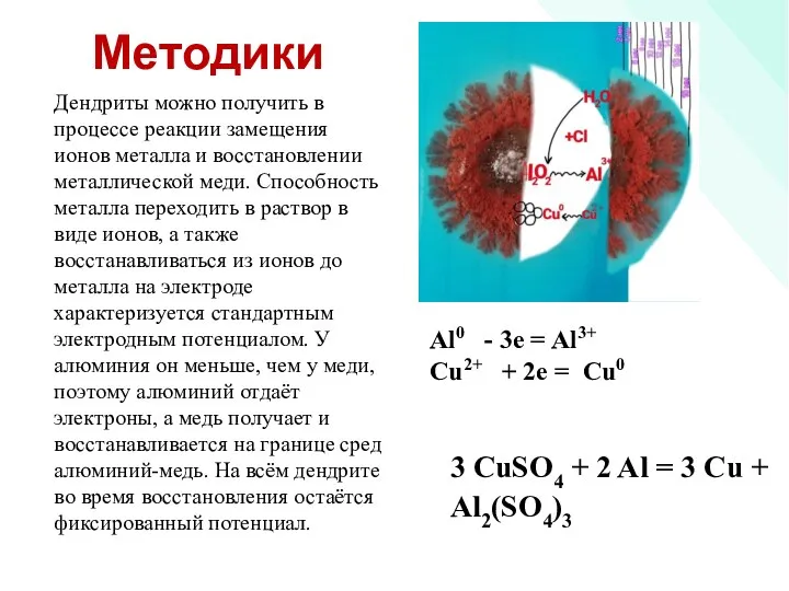 Методики Дендриты можно получить в процессе реакции замещения ионов металла и восстановлении