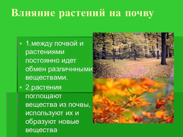 Влияние растений на почву 1.между почвой и растениями постоянно идет обмен различнными